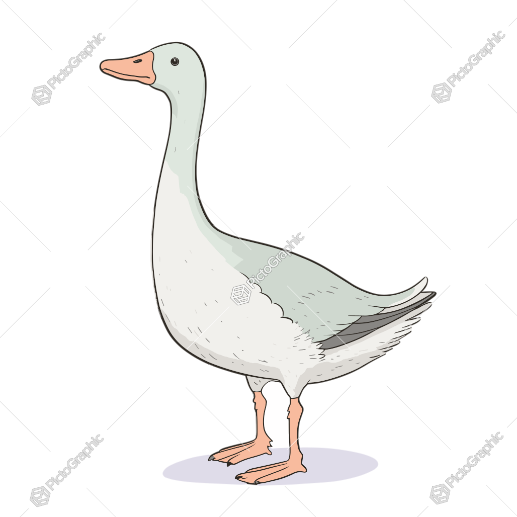 Illustration of a goose.