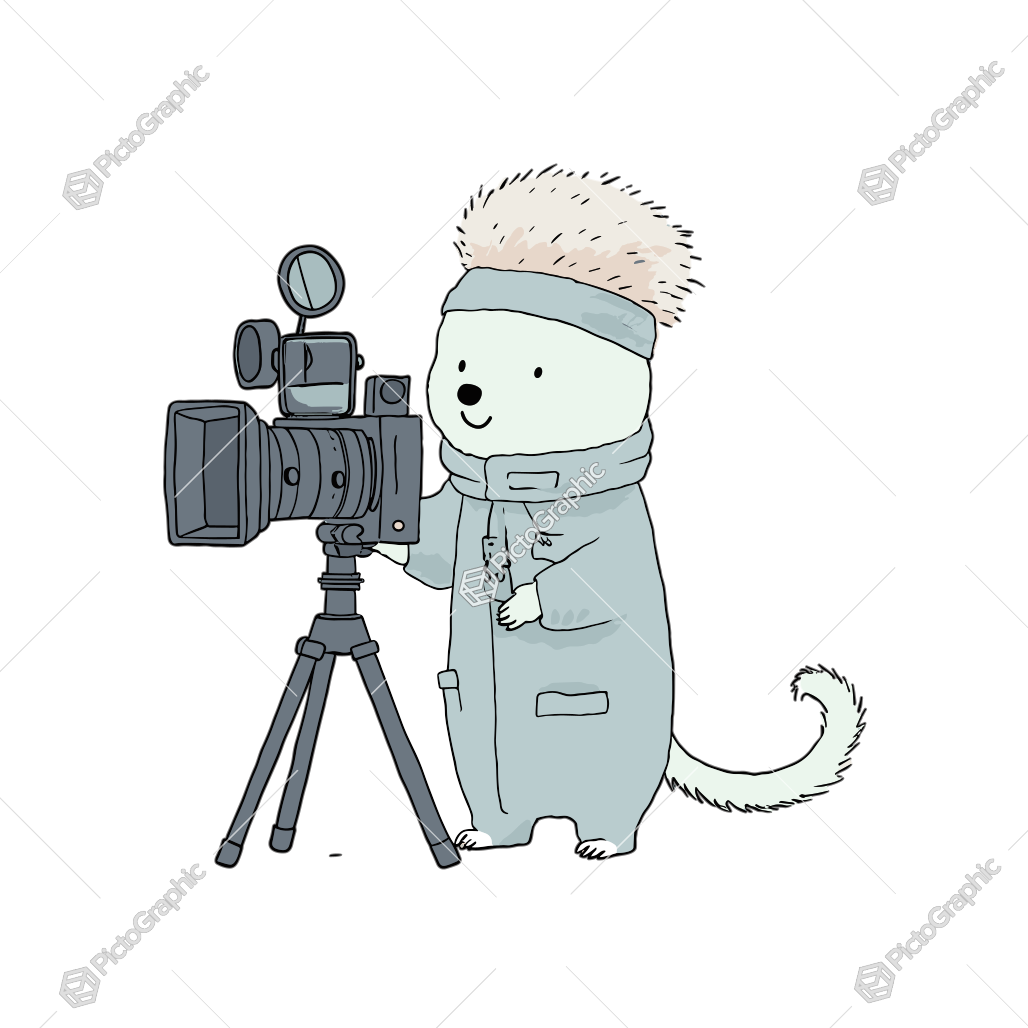 An illustrated hedgehog operating a camera.