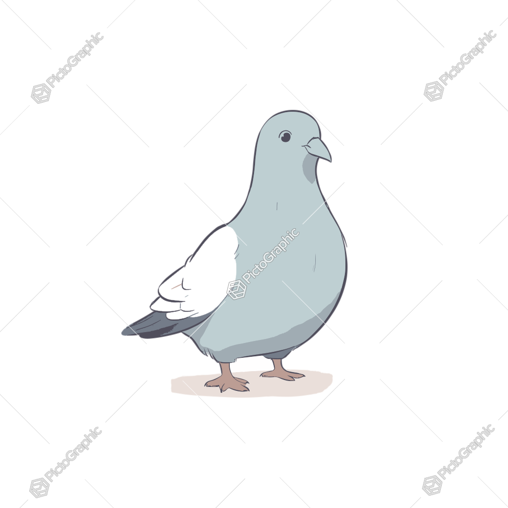 A stylized drawing of a pigeon.