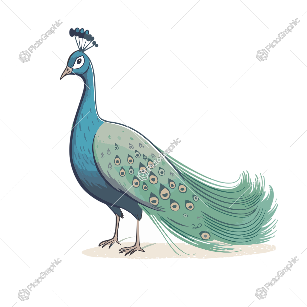 Illustration of a peacock.