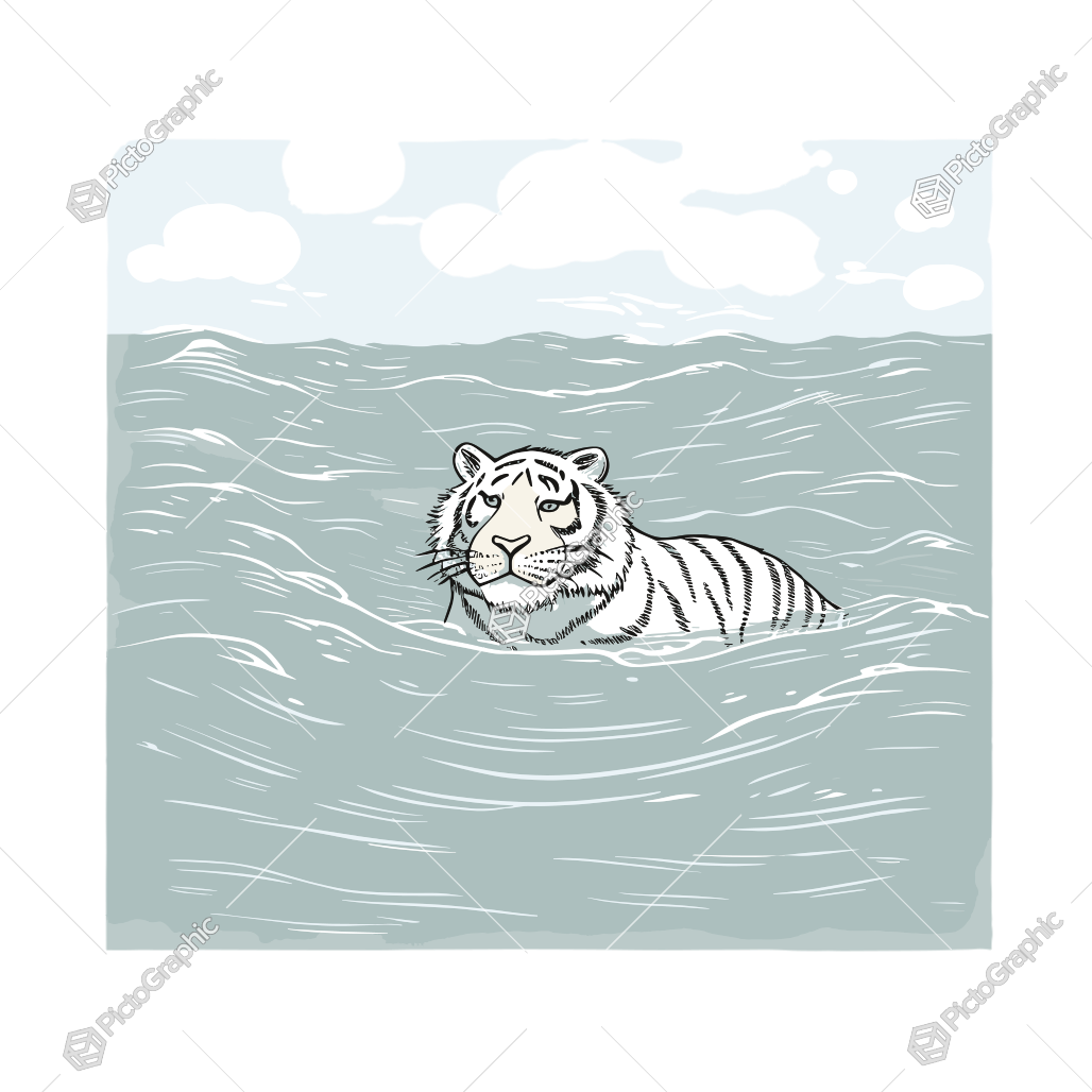 A white tiger swimming in the ocean.