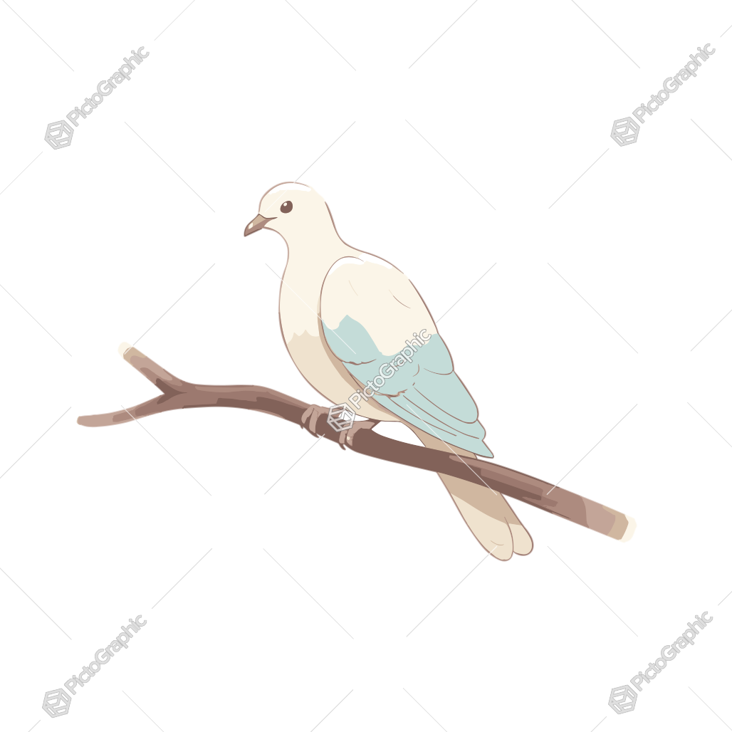 Illustration of a pigeon on a branch.