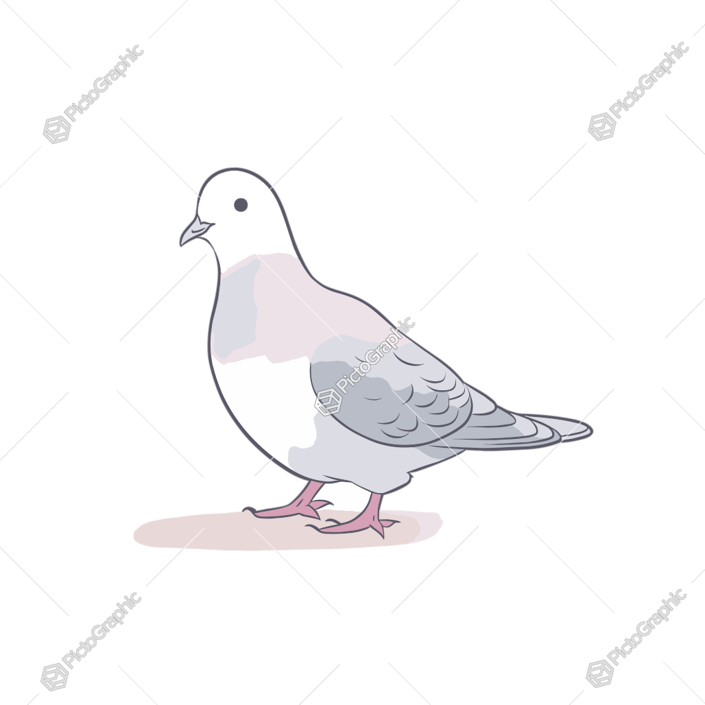 Illustration of a cartoon pigeon.