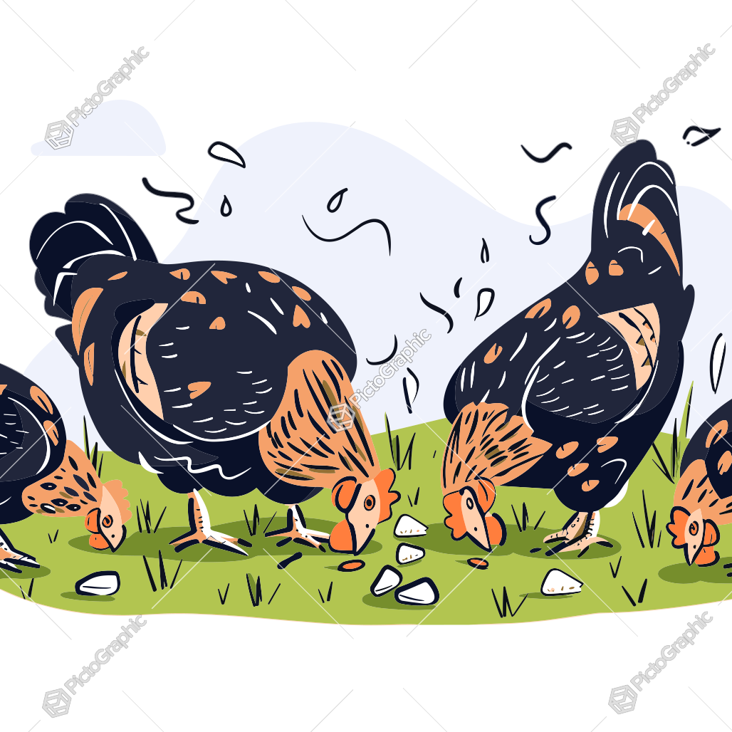 Illustration of chickens pecking in the grass.