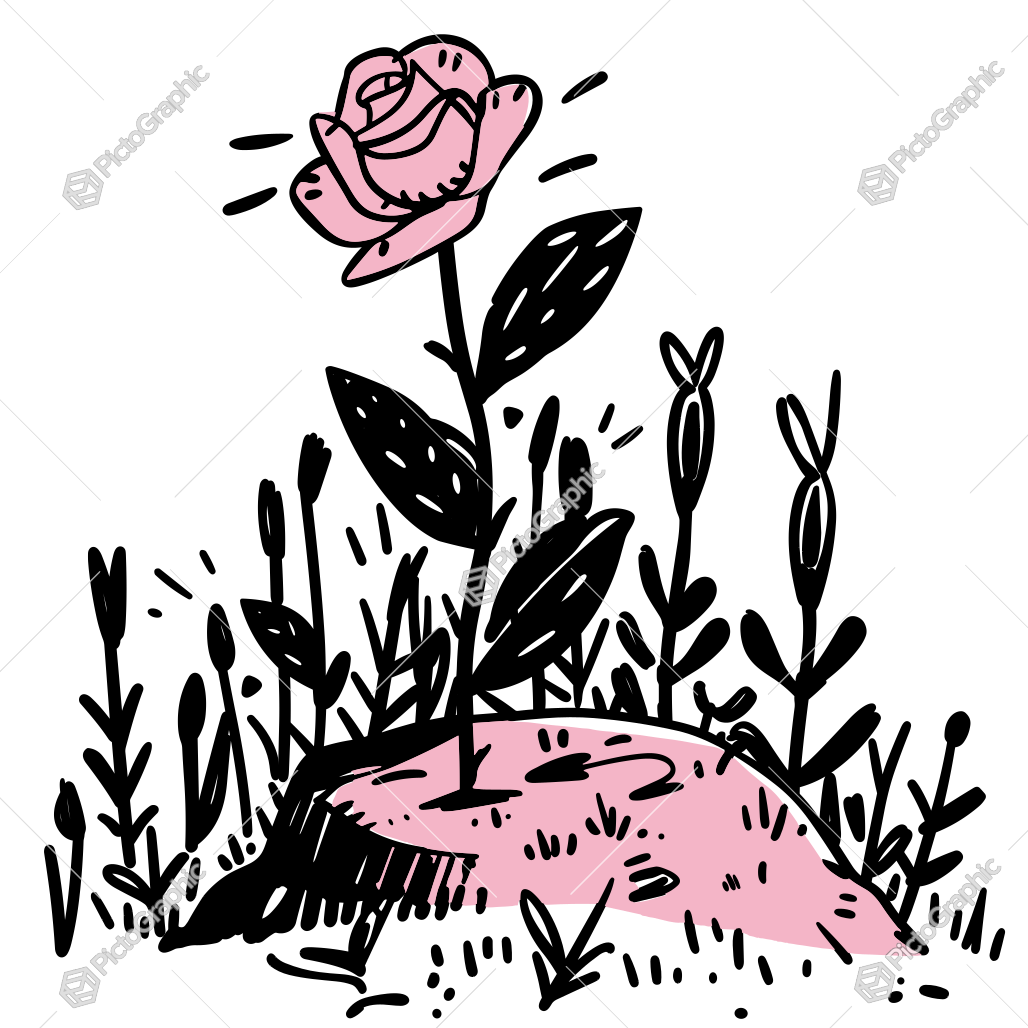 The image is of a hand-drawn rose with surrounding foliage.