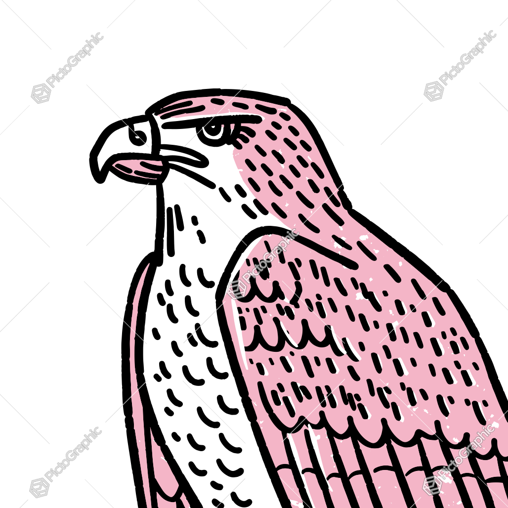 Illustration of a pink and red eagle.