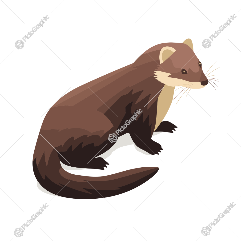 This is an illustration of a brown and cream-colored ferret.