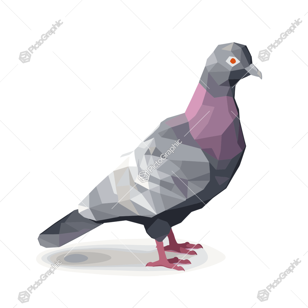 A low-poly pigeon illustration.