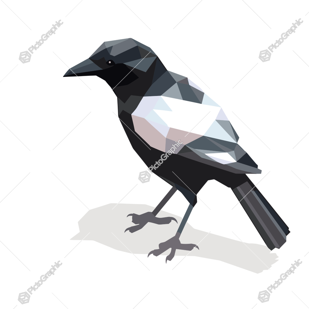 A low-poly illustration of a crow.