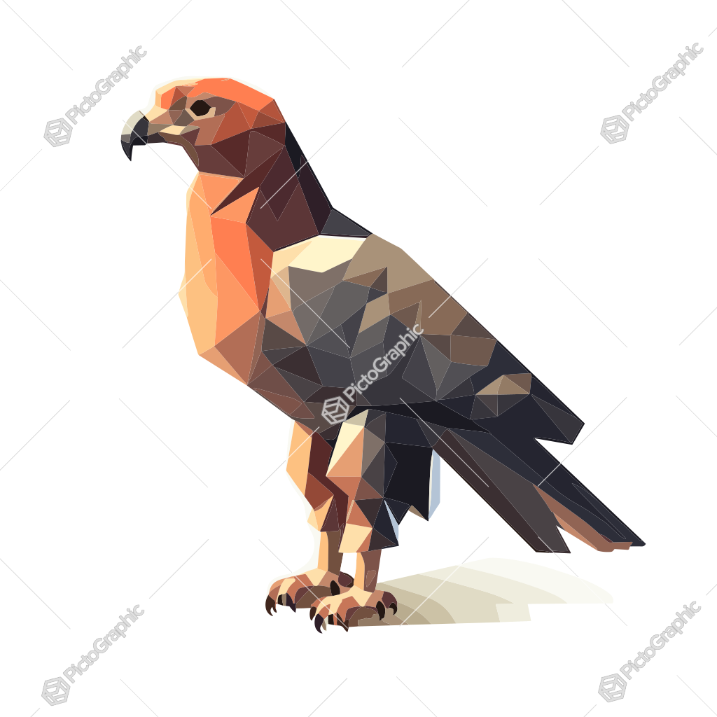 A low-poly illustration of a bird of prey.