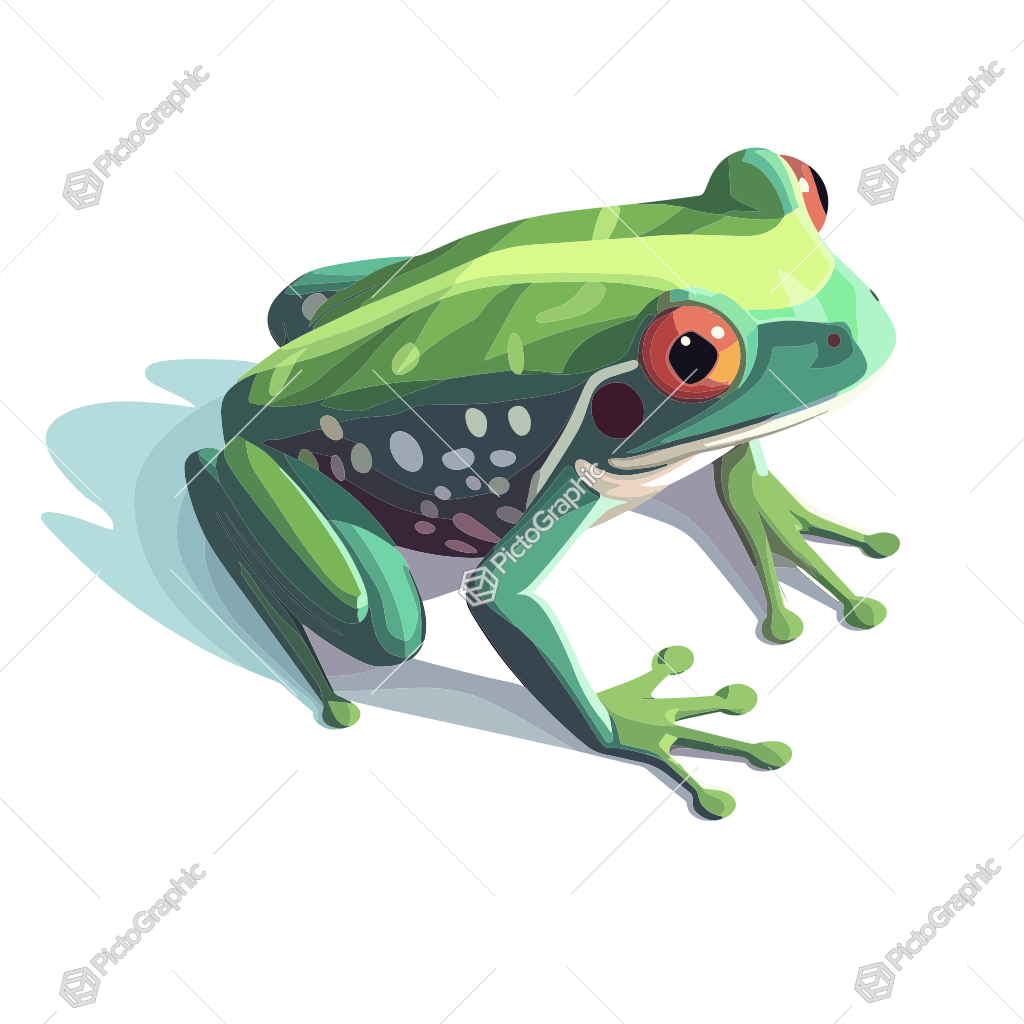 Illustration of a green frog.