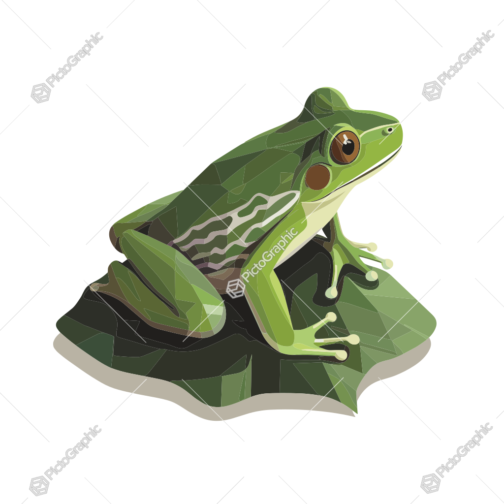 An illustration of a stylized green frog on a leaf.