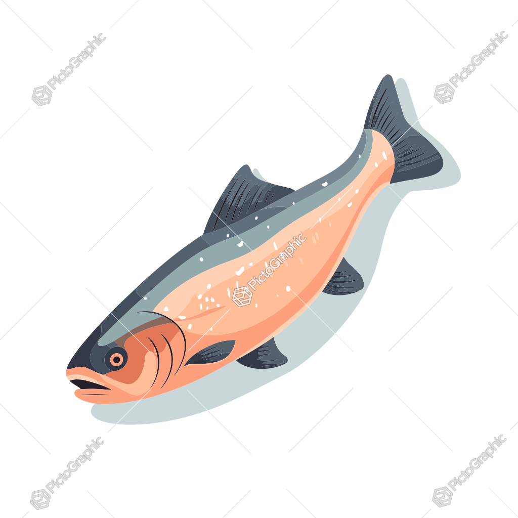 Illustration of a fish.