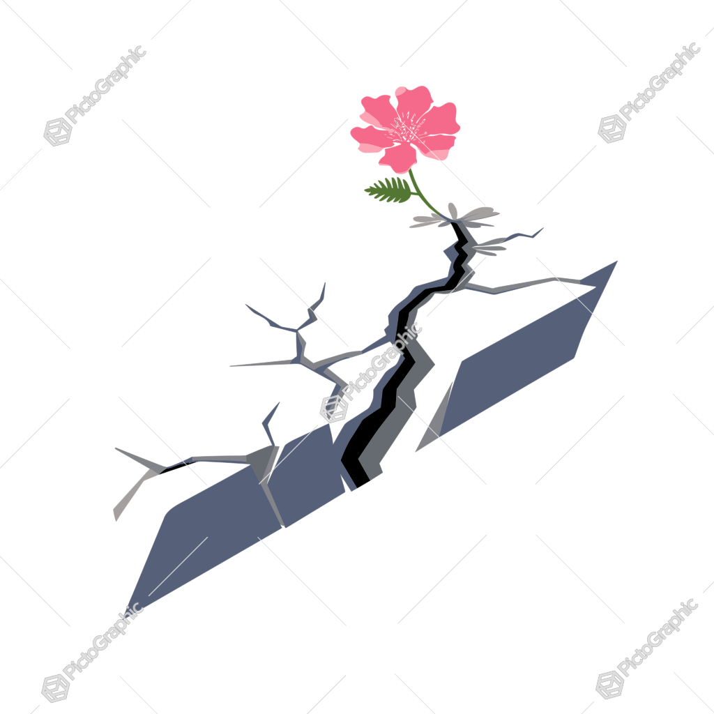 The image shows a pink flower growing out of a cracked slab of concrete or rock.
