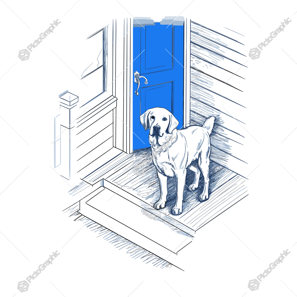 A dog waiting at a blue door.