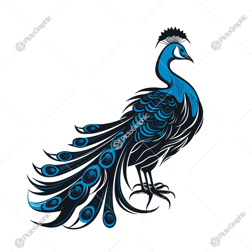 Stylized blue and black peacock illustration.