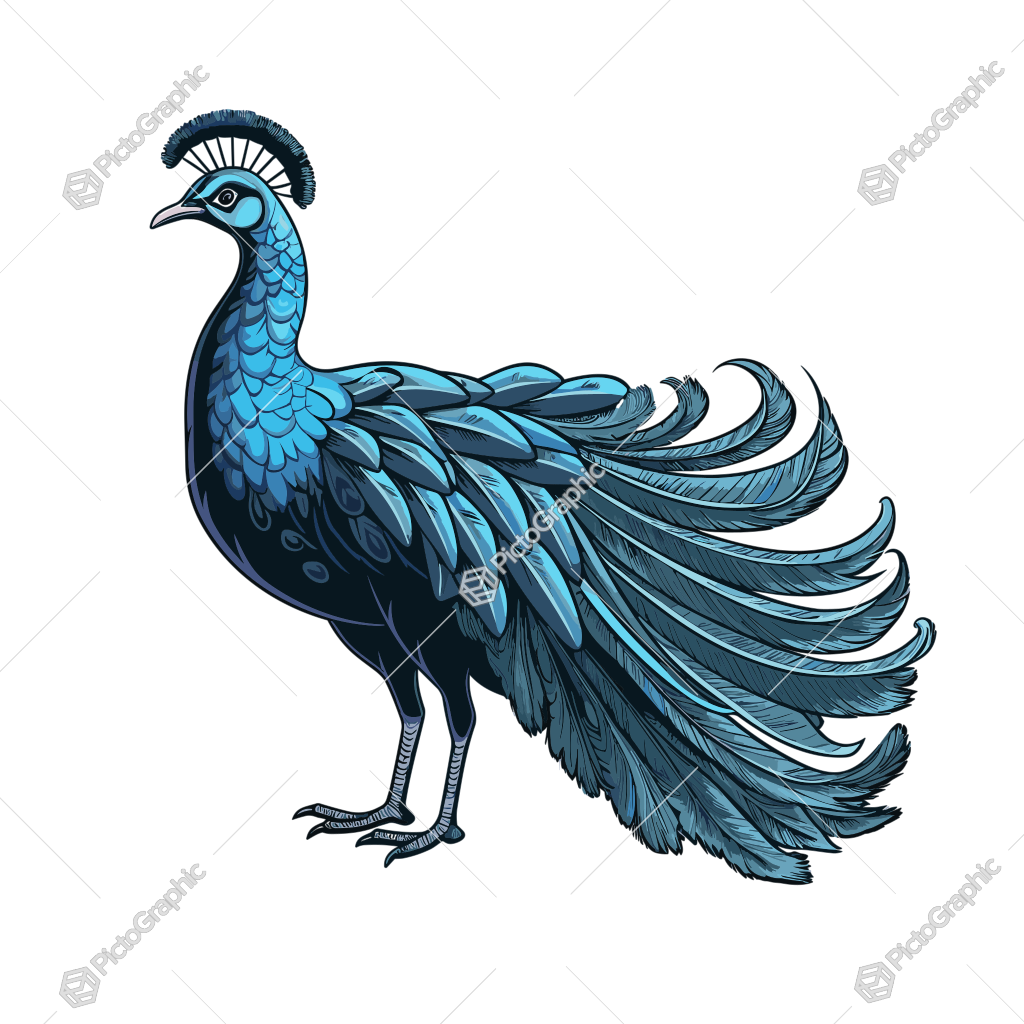 A stylized blue peacock.