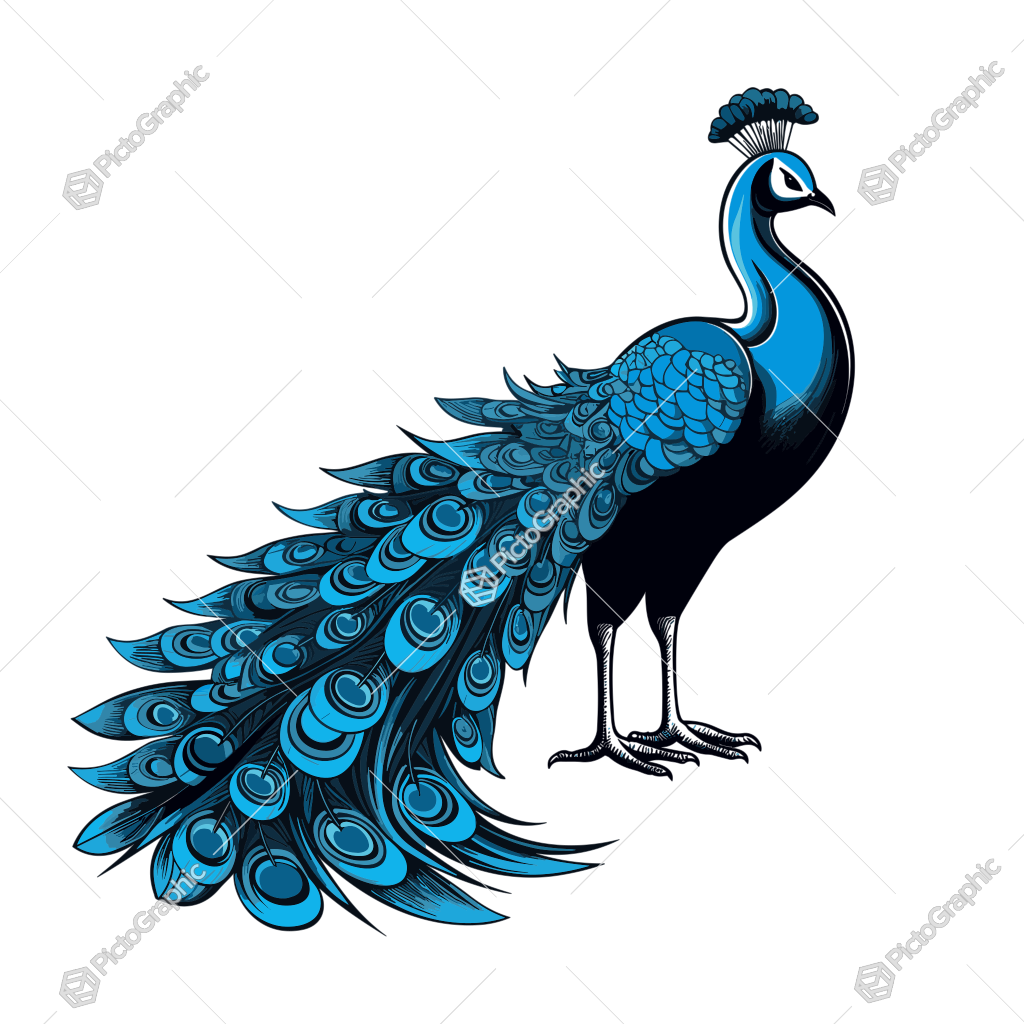 A stylized illustration of a peacock with expanded tail feathers.