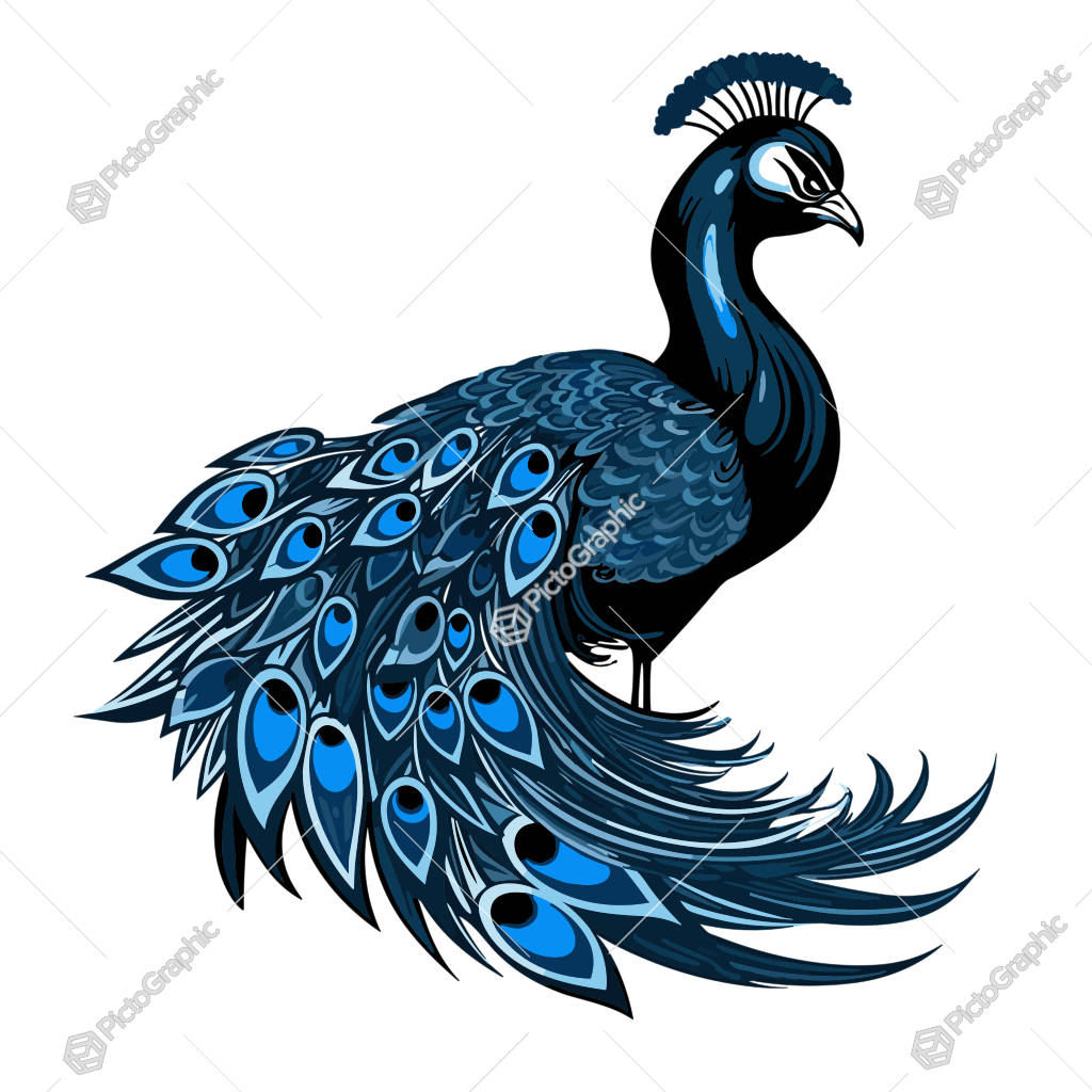 A stylized graphic of a peacock.