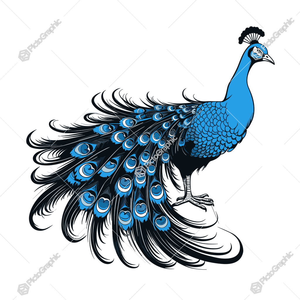 Illustration of a stylized blue peacock.