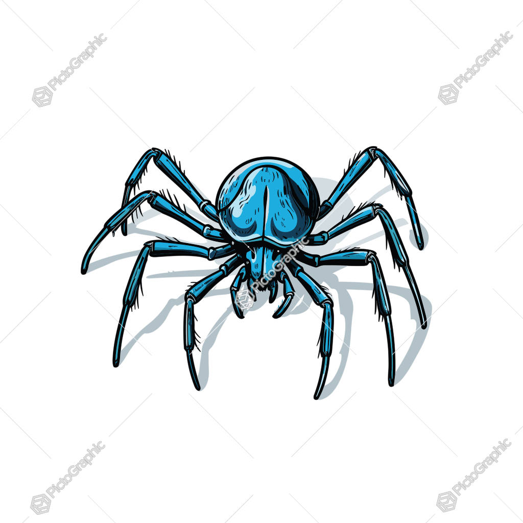 Stylized blue spider illustration.