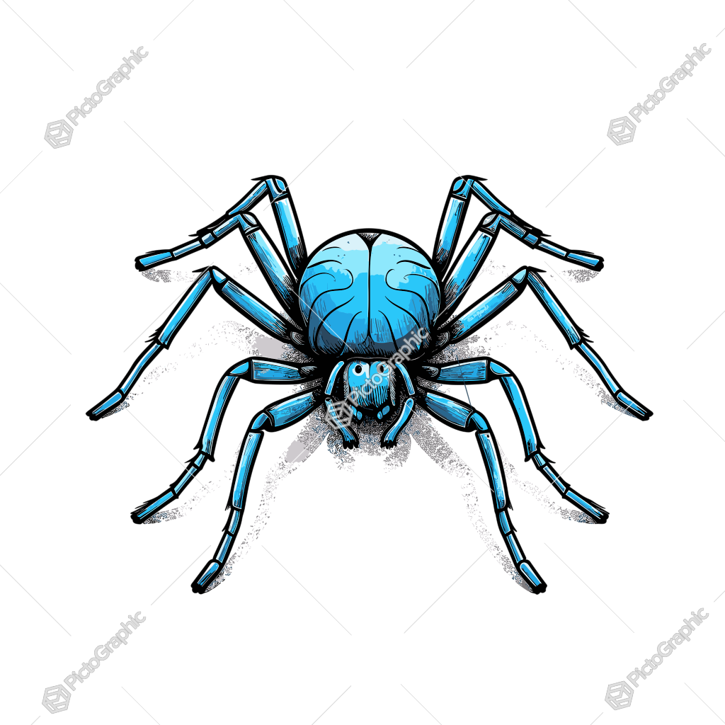 The image shows a blue spider on a white background. It is a drawing of a spider, with its eight legs and two antennae clearly visible. Its body is a deep blue color, and its eyes are a lighter shade of blue. Its legs are long and thin, and it has a webbed pattern on its back.