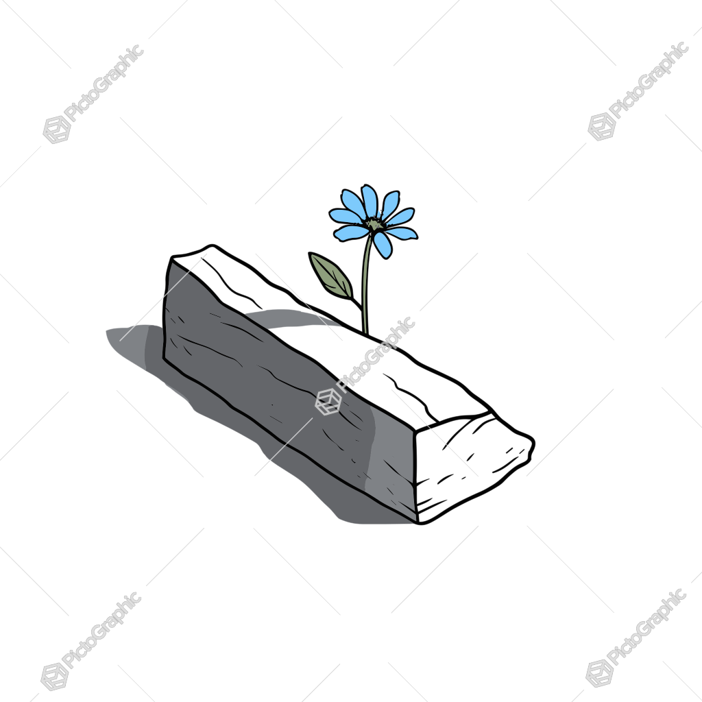 Illustration of a wooden coffin with a flower growing from inside.