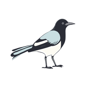 A stylized illustration of a black and white bird.