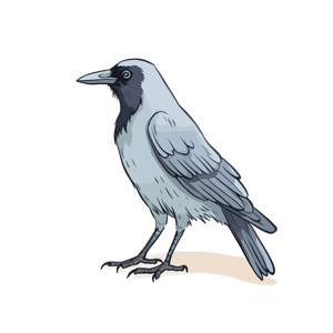 A drawing of a crow.