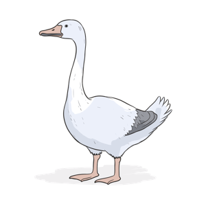 Illustration of a goose.