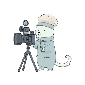 An illustrated hedgehog operating a camera.