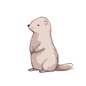 The image is a cartoon of a cute, standing ferret.
