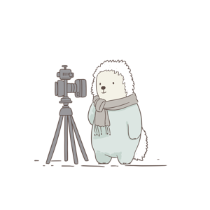 An anthropomorphic hedgehog interacting with a camera on a tripod.