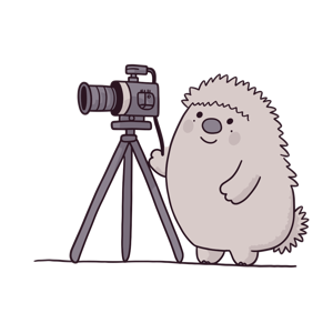 A cartoon hedgehog standing next to a camera on a tripod.