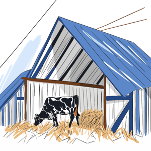 A cow in a barn.