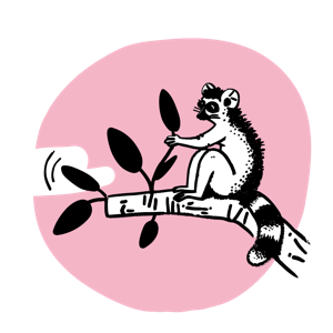 A cartoon raccoon on a branch with a pink background.