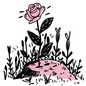 The image is of a hand-drawn rose with surrounding foliage.