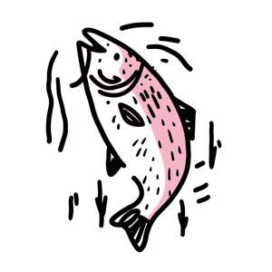 A stylized illustration of a salmon.