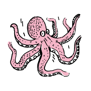 An illustration of a pink octopus.