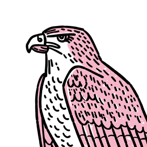Illustration of a pink and red eagle.