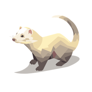 Illustration of a low-poly style ferret.