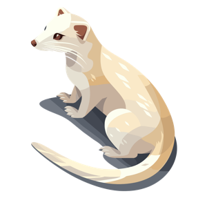Illustration of a seated ferret.