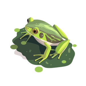 Illustration of a green frog on a green surface.