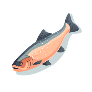 Illustration of a fish.