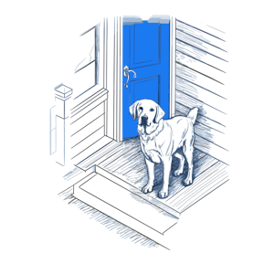 A dog waiting at a blue door.