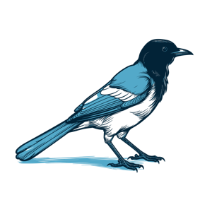This image is a two-toned illustration of a bird, likely a magpie, standing in profile.