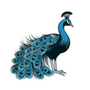 This is an artistic illustration of a peacock with its feathers on display.
