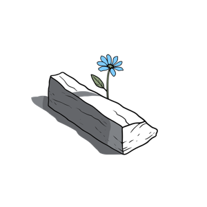Illustration of a wooden coffin with a flower growing from inside.