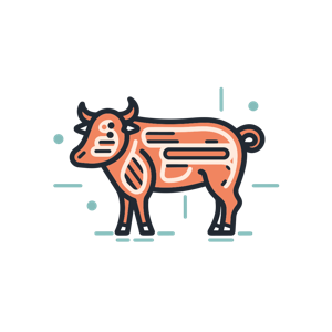 A graphic representation of a cow divided into sections.